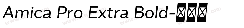 Amica Pro Extra Bold字体转换 Amica Pro Extra Bold字体转换